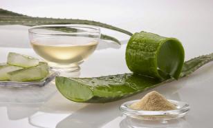 Как правильно собирать лекарственные растения