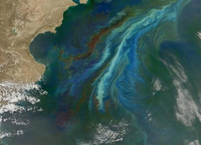 На Земле может повториться сценарий 12-тысячелетней давности с ледниковым периодом