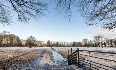 Зимняя температура в России выросла на 3°C за 50 лет — эколог Максим Симакин