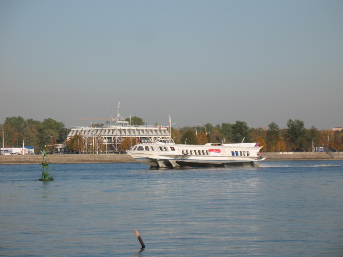 Экологическое бедствие на Волге: что делать, чтобы остановить катастрофу