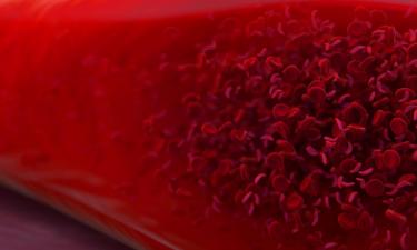 Новая теория ожирения: организм сам включает режим набора веса — тихий враг внутри нас