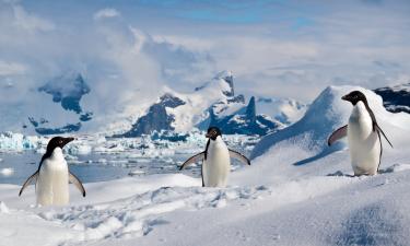 Антарктида замерзла навсегда: откуда берётся снег в месте, где небо никогда не плачет дождём