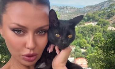 Боня рассказала, что её кот Мусик потратил одну из своих 9 кошачьих жизней