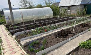 Садоводы могут избежать налога с продажи урожая: узнайте как