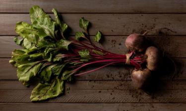 Не спешите выбрасывать: ботва, листья и даже стебли могут стать деликатесом