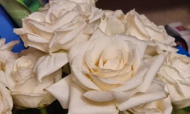 Грязная ваза ускоряет увядание срезанных цветов — Ciceksel