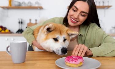 Один съеденный кусок может стоить собаке жизни: срочно проверьте свой холодильник