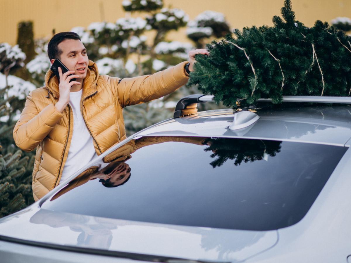 При перевозке на крыше ёлку нужно надёжно фиксировать ремнями