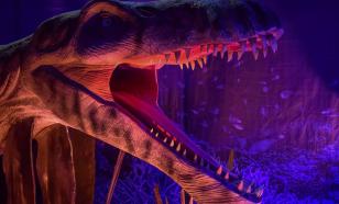 Ученые определили происхождение кометы, уничтожившей динозавров