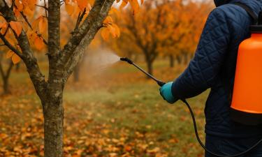 Жуткое совпадение: как Игорь Тальков повторил судьбу своего персонажа в кино