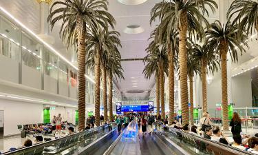 240 ресторанов в одном аэропорту: секрет популярности Чанги раскрыт