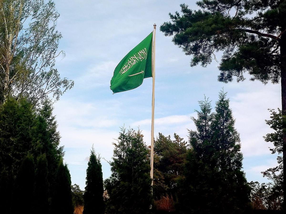 Поток туристов из Саудовской Аравии вырос на 22% по данным вице-президента РСТ