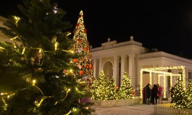 В Рязани установили новогодние инсталляции с вышивкой — художник Риффель