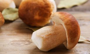 Диетолог Мухина заявила, что грибы способствуют похудению