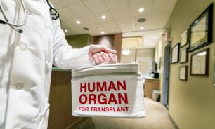Офис Зеленского решил всерьез заняться развитием трансплантации органов