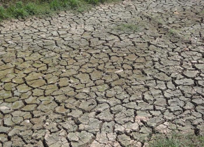 Energies: в XXII веке климатический кризис может погубить до 1 миллиарда человек — повтор, вышло в 5-43 сегодня