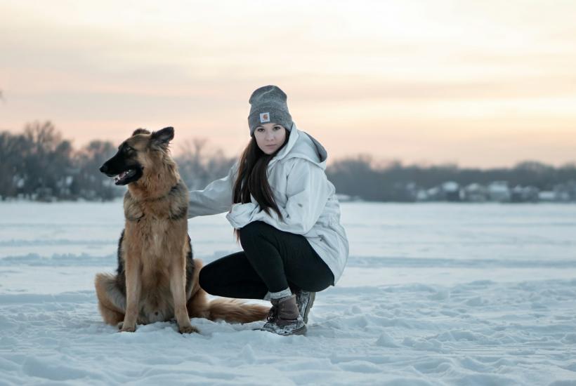 Прогулка с собакой
