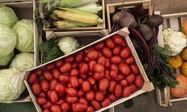 Вкус овощей ухудшается при неправильной влажности хранения