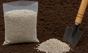 Жидкие удобрения дают мгновенный эффект на рассаде