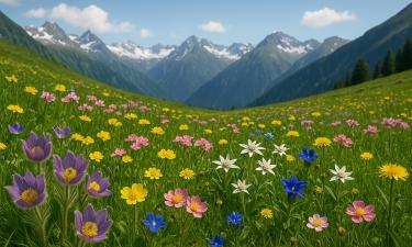 Цветы живут по своим правилам: они спят, слушают музыку и прячут десятки тайн от человека