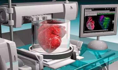 Разработчики испытали биопринтер на минипигах – rg.ru