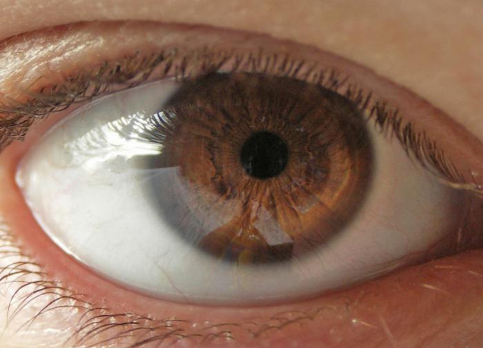 В США впервые в истории провели операцию по пересадке глаза человеку