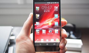 С первого раза отдала код: как Лолита Милявская стала жертвой мошенников