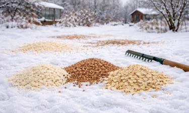 Навоз больше не нужен: зимой по снегу рассыпают то, что продаётся в любом магазине