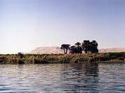 В Египте манифестанты подожгли правительственное здание