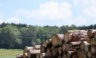 На Украине появился интернет-магазин, в котором можно купить дрова