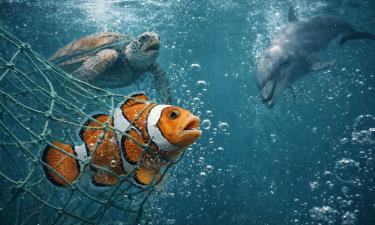 Вода превращается в ловушку: как рыбы, дельфины и киты тонут даже в родной стихии