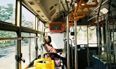 Провоз велосипедов зависит от класса автобуса — председатель профсоюза Емельяненко