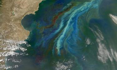 Гольфстрим готовится к последнему вдоху: Земля вступает в зону климатической турбулентности