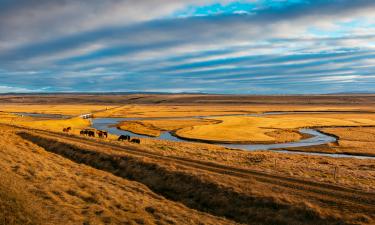 Озеро Маныч-Гудило привлекло фототуристов — турэксперты