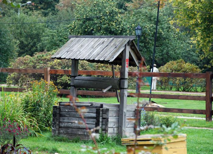 Профессор заявил, что употребление воды из колодцев и скважин может привести к инфекционным заболеваниям