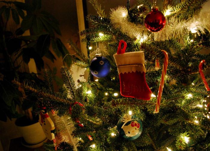 Ученые обнаружили опасные токсины в живых новогодних елках