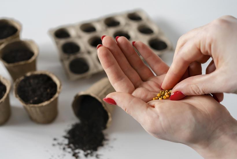 Калибровка семян