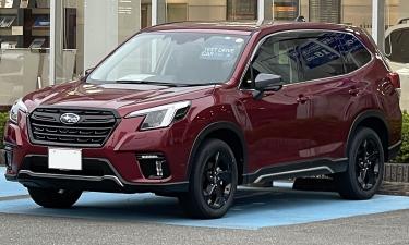 Параллельный импорт без КНР: какие иномарки всё ещё доходят до РФ ценой сложных схем