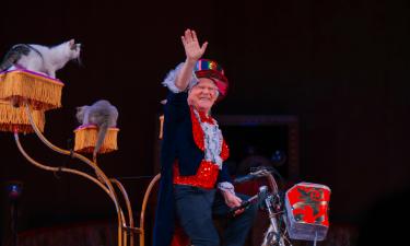 Куклачев сообщил об адаптации кошек, эвакуированных из зоны СВО