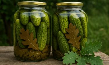 Тяга к соленому усиливается при нарушении электролитного баланса — заявил врач Ионов