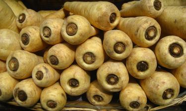 Пастернак выращивают с более длинным периодом вегетации — Mein Schoener Garten