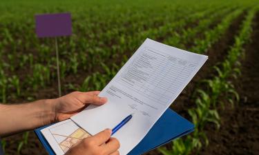 Новые правила СНТ поменяют порядок оформления общего имущества — ОСН