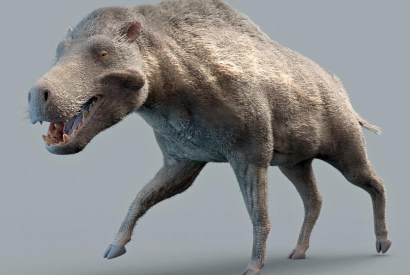 Энтелодонт