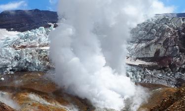 Эукариотическую амебу нашли в кипящем источнике Лассена — Nature