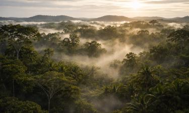 Три тени в зелёном аду Амазонии: как город Z из бреда учёного оказался реальностью