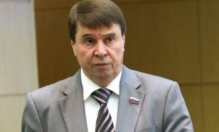 Сенатор Цеков предложил запретить выезд за границу людям призывного возраста