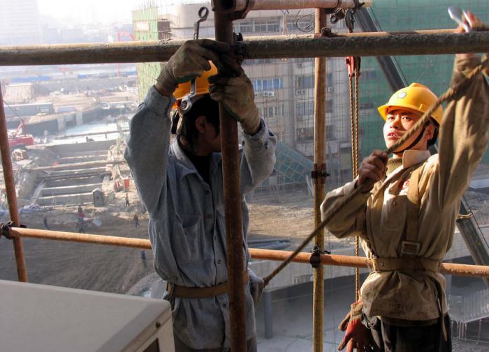 Science Direct: Учёные назвали профессии, приводящие к слабоумию