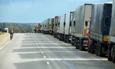 Сенатор Рубио: выдача водительских удостоверений мигрантам создаёт угрозу безопасности США