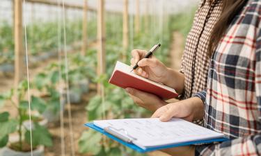 Севооборот повышает урожайность и сохраняет плодородие почвы