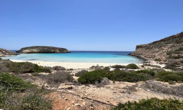 Сёрф, музей раковин и креветки с чили: этот пляжный курорт Австралии всё ещё не захвачен туристами